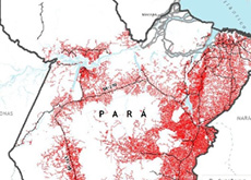 A imagem apresenta a malha rodoviária clandestina no Pará, em destaque no mapa do estado. Os registros, na cor vermelha, são do satélite Landsat  e se concentram na região centro-oriental  do mapa.